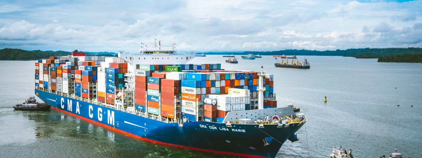 Navigating Complex Regulations in Shipping – How Outsourced Experts Ensure Compliance