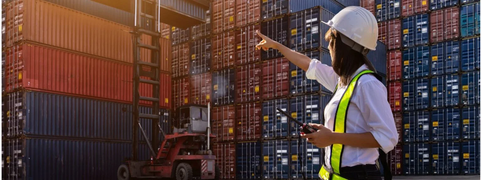 Beyond Cost Cutting: The Strategic ROI of Outsourcing in a Volatile Economy